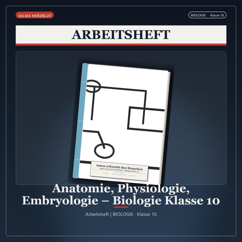 Anatomie, Physiologie, Embryologie – Biologie Klasse 10