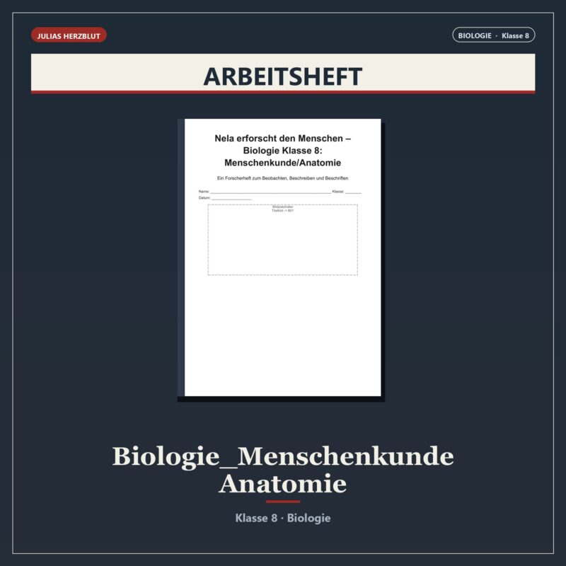 Nela erforscht den Menschen – Biologie Klasse 8: Menschenkunde/Anatomie