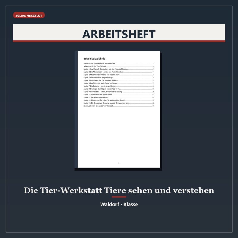 Die Tier-Werkstatt – Tiere sehen und verstehen (Klasse 4)