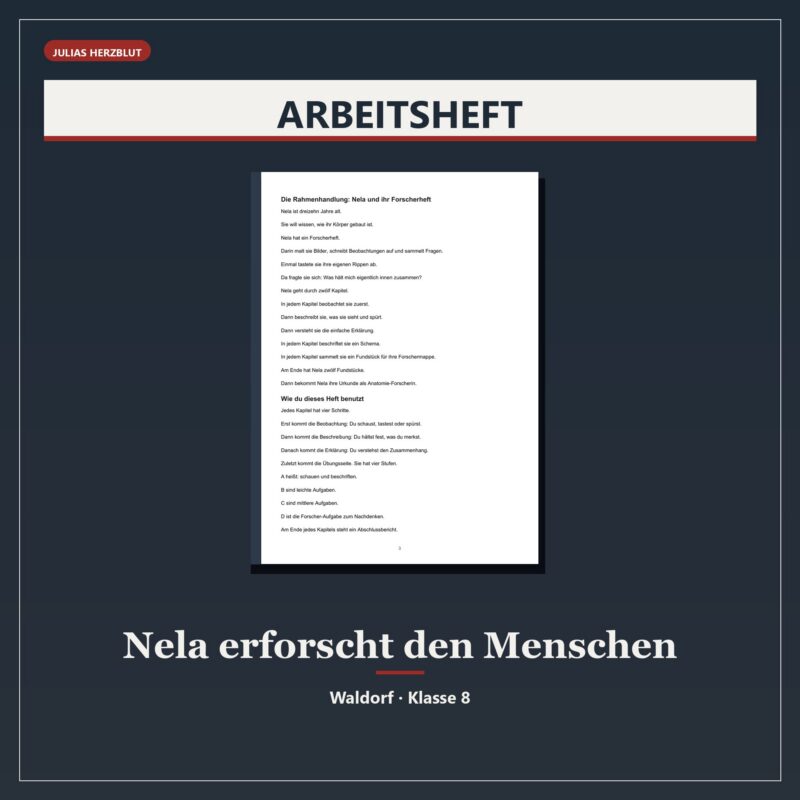 Nela erforscht den Menschen – Biologie Klasse 8: Menschenkunde/Anatomie