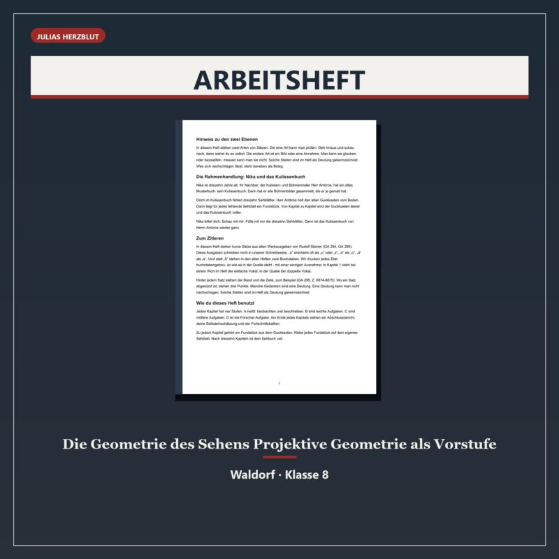 Die Geometrie des Sehens Projektive Geometrie als Vorstufe - ein Arbeitsheft für die Klasse 8