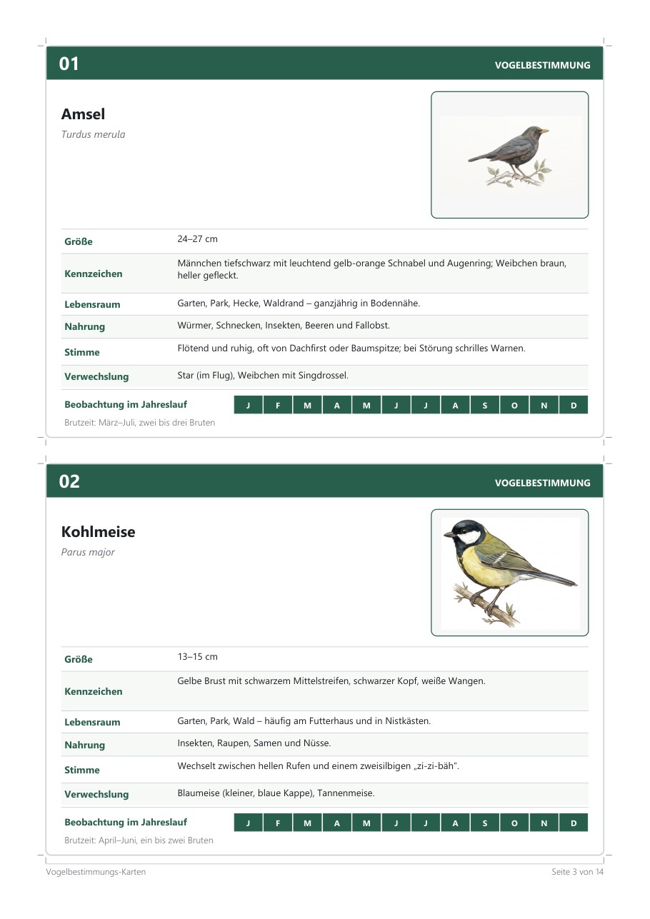 Bird Identification Cards (24) – Blick ins Heft, Seite 2