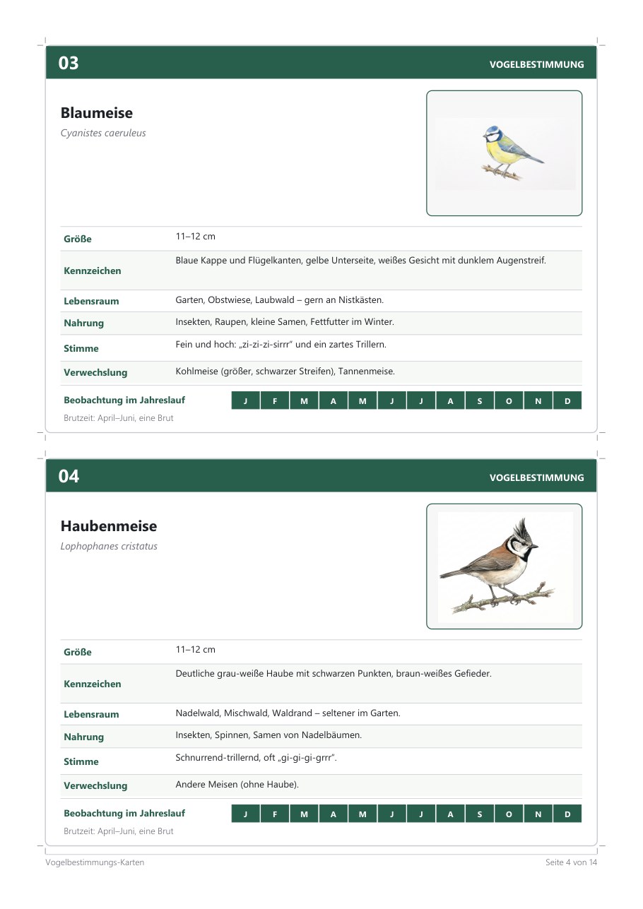 Bird Identification Cards (24) – Blick ins Heft, Seite 3