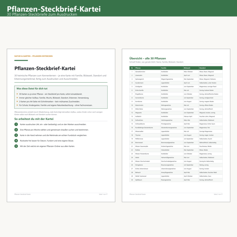 Pflanzen-Steckbrief-Kartei