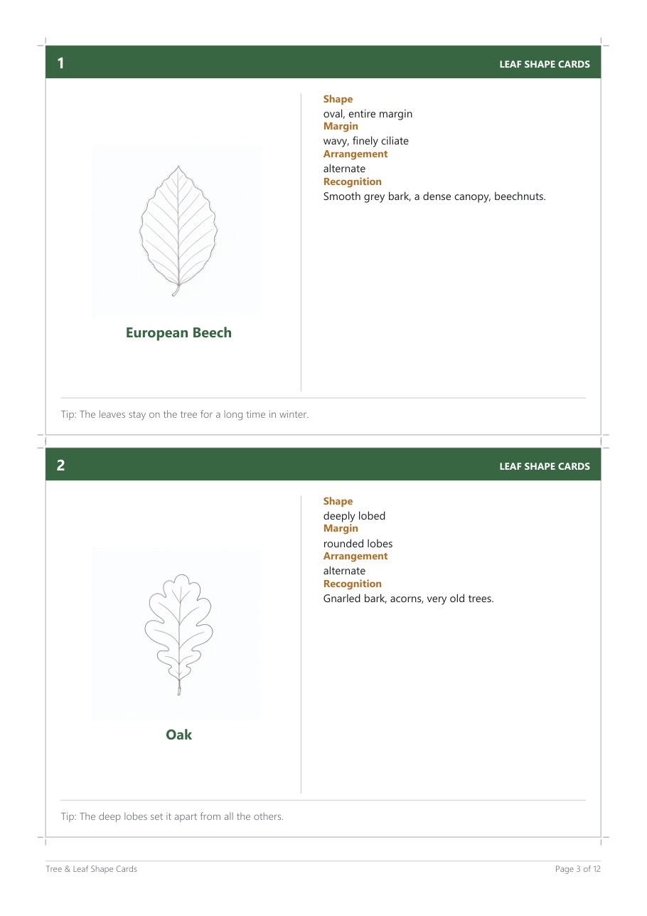 Tree & Leaf Shape Cards (20) – Blick ins Heft, Seite 2