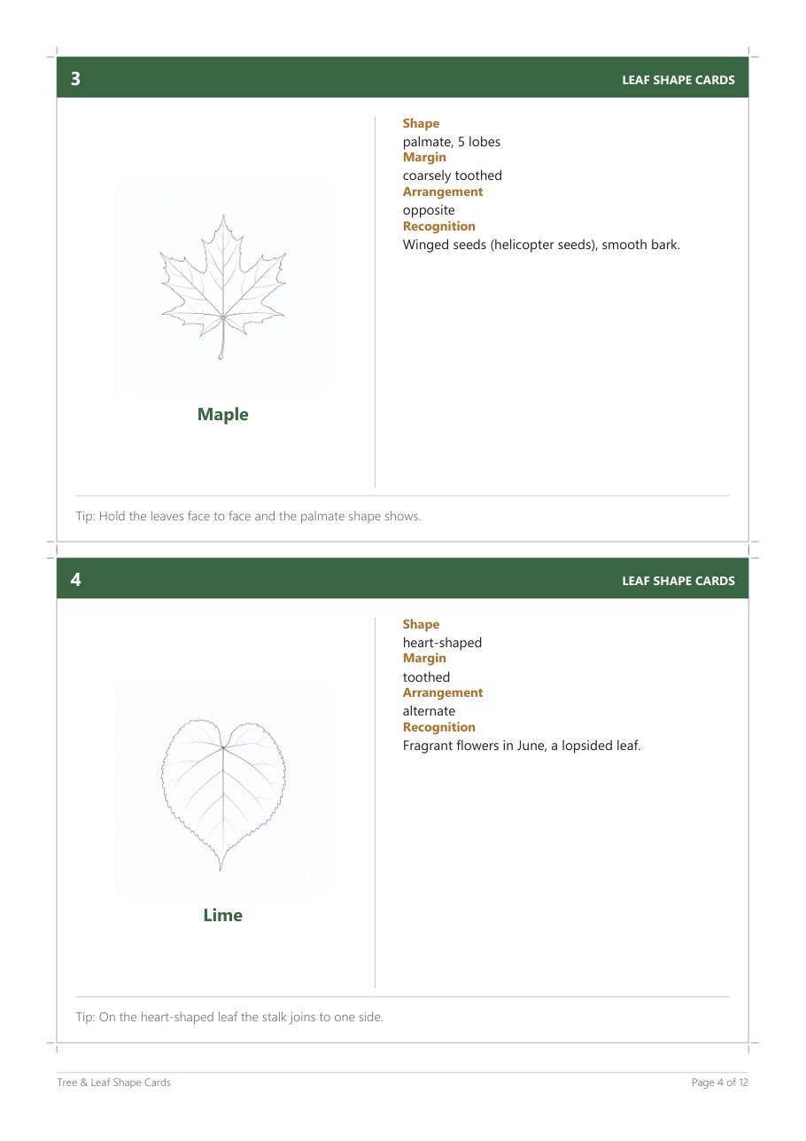 Tree & Leaf Shape Cards (20) – Blick ins Heft, Seite 3