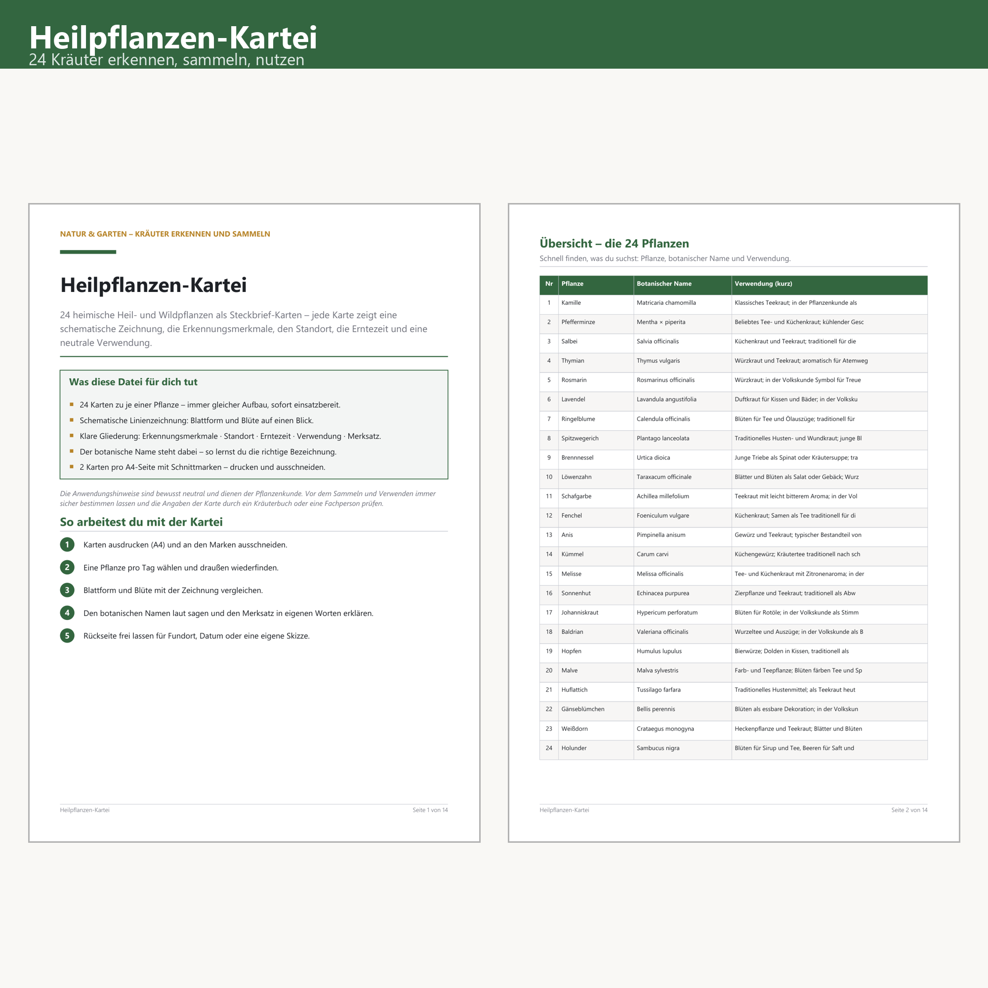 Heilpflanzen-Kartei – Cover