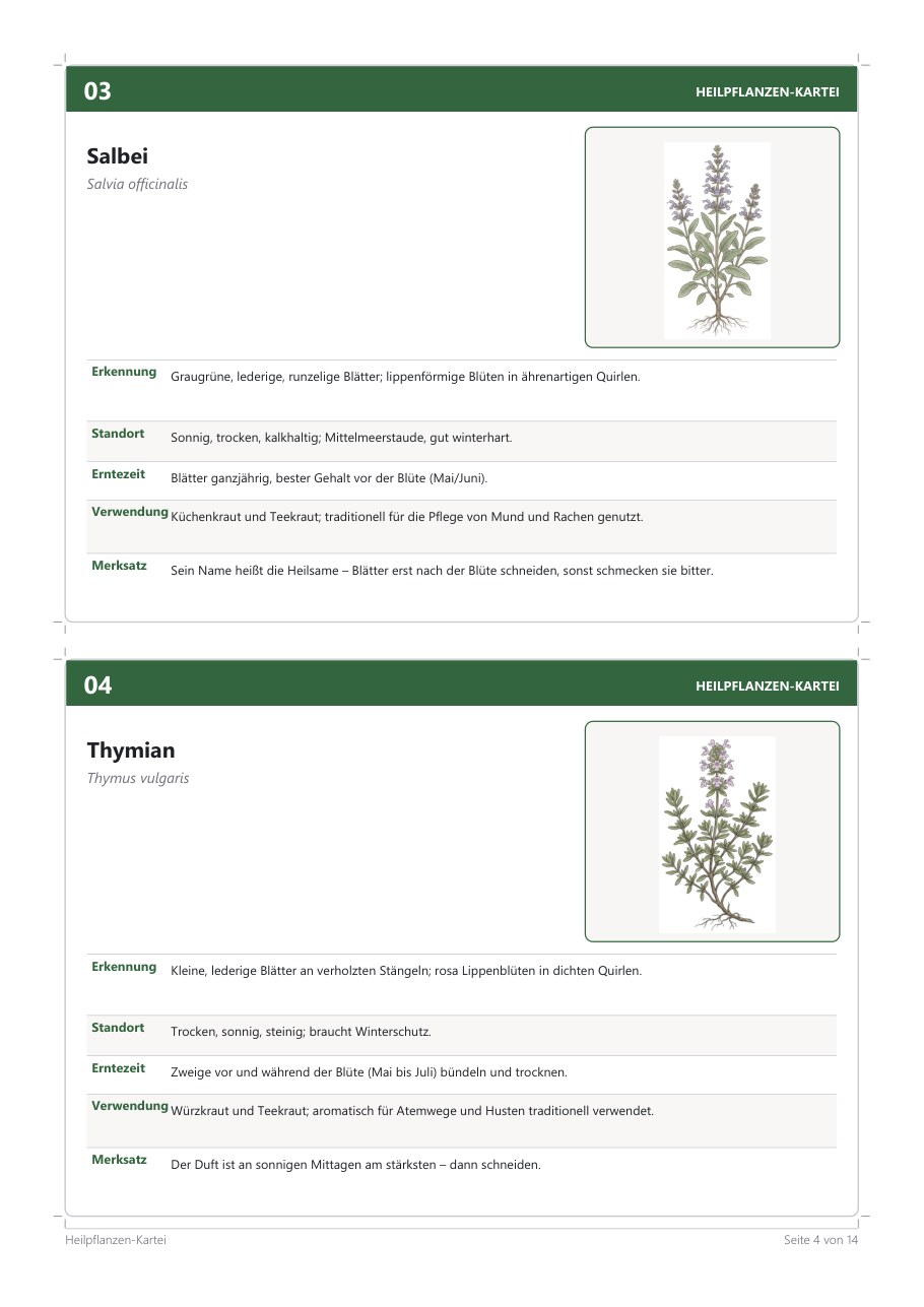 Medicinal Plant Cards (24) – Blick ins Heft, Seite 3