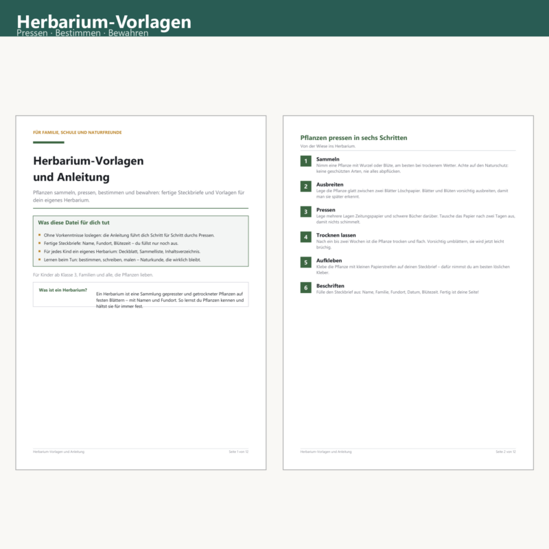 Herbarium Templates & Guide