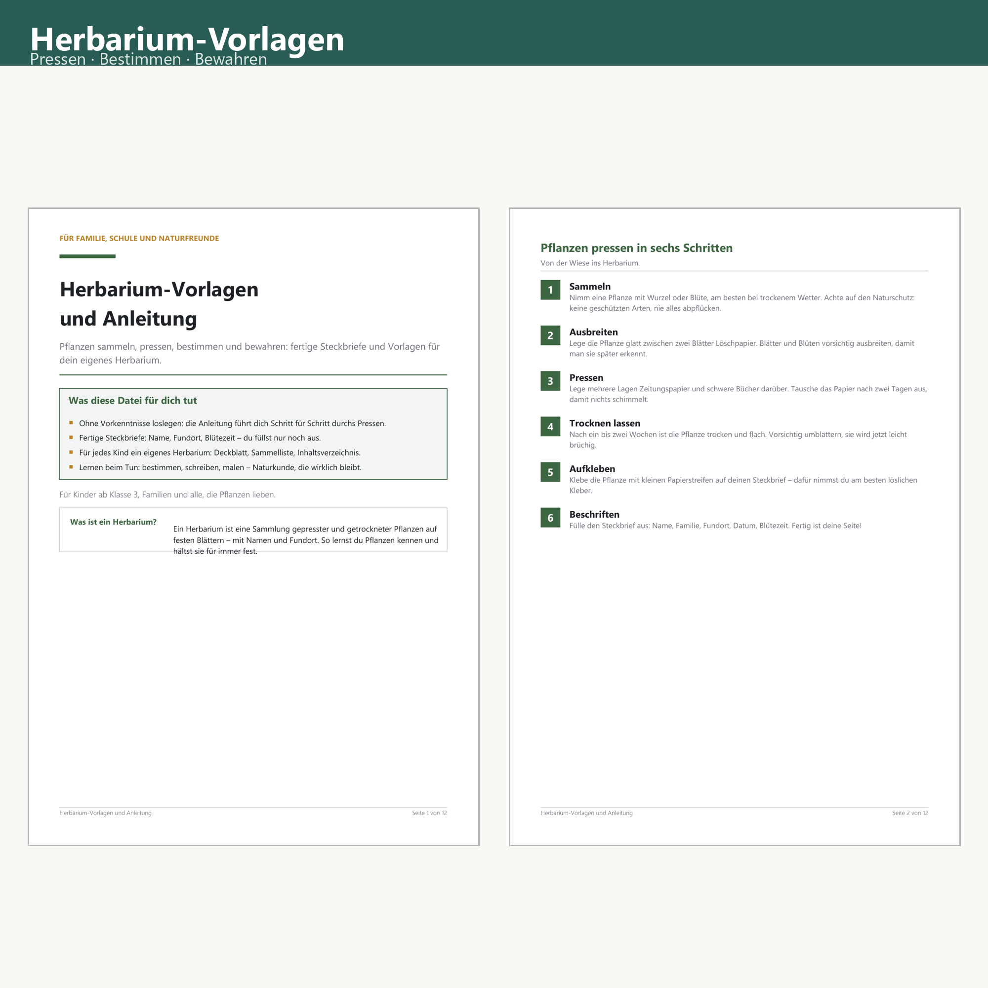 Herbarium Templates & Guide – Cover
