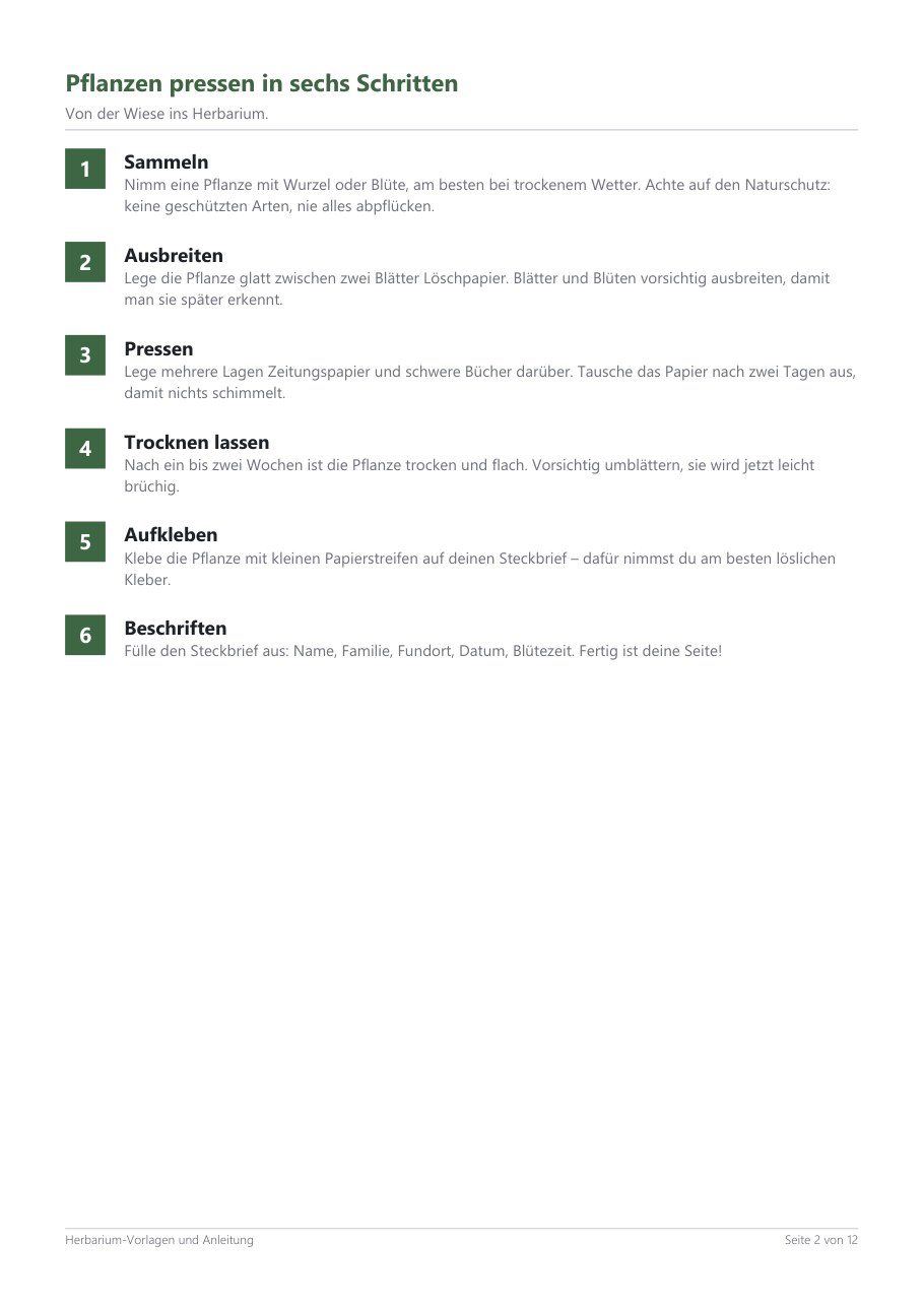 Herbarium Templates & Guide – Blick ins Heft, Seite 1