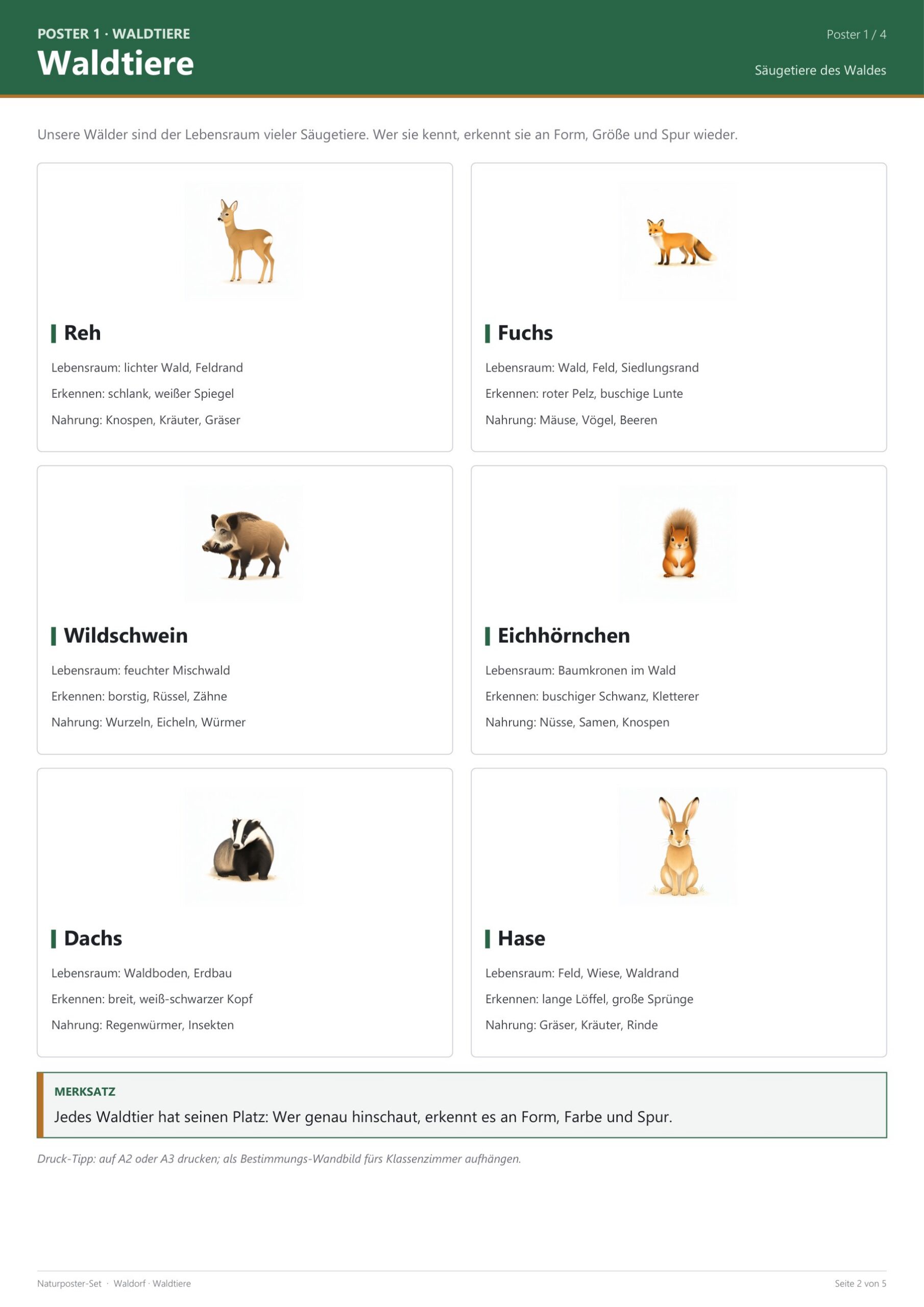 Naturposter-Set (heimische Tiere) – Blick ins Heft, Seite 1
