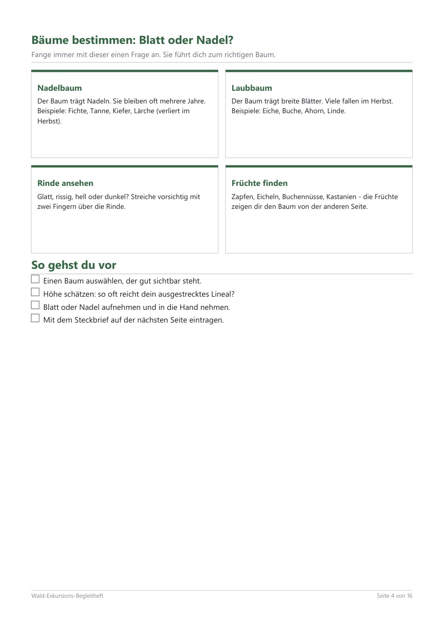 Forest Field Trip Companion – Blick ins Heft, Seite 3