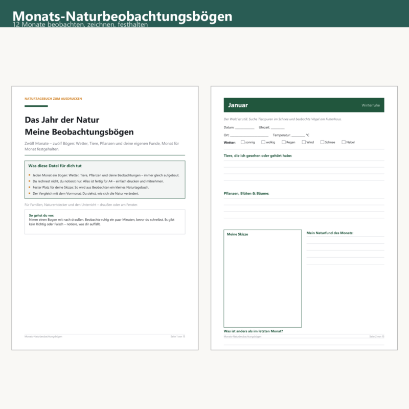 Monats-Naturbeobachtungsbögen