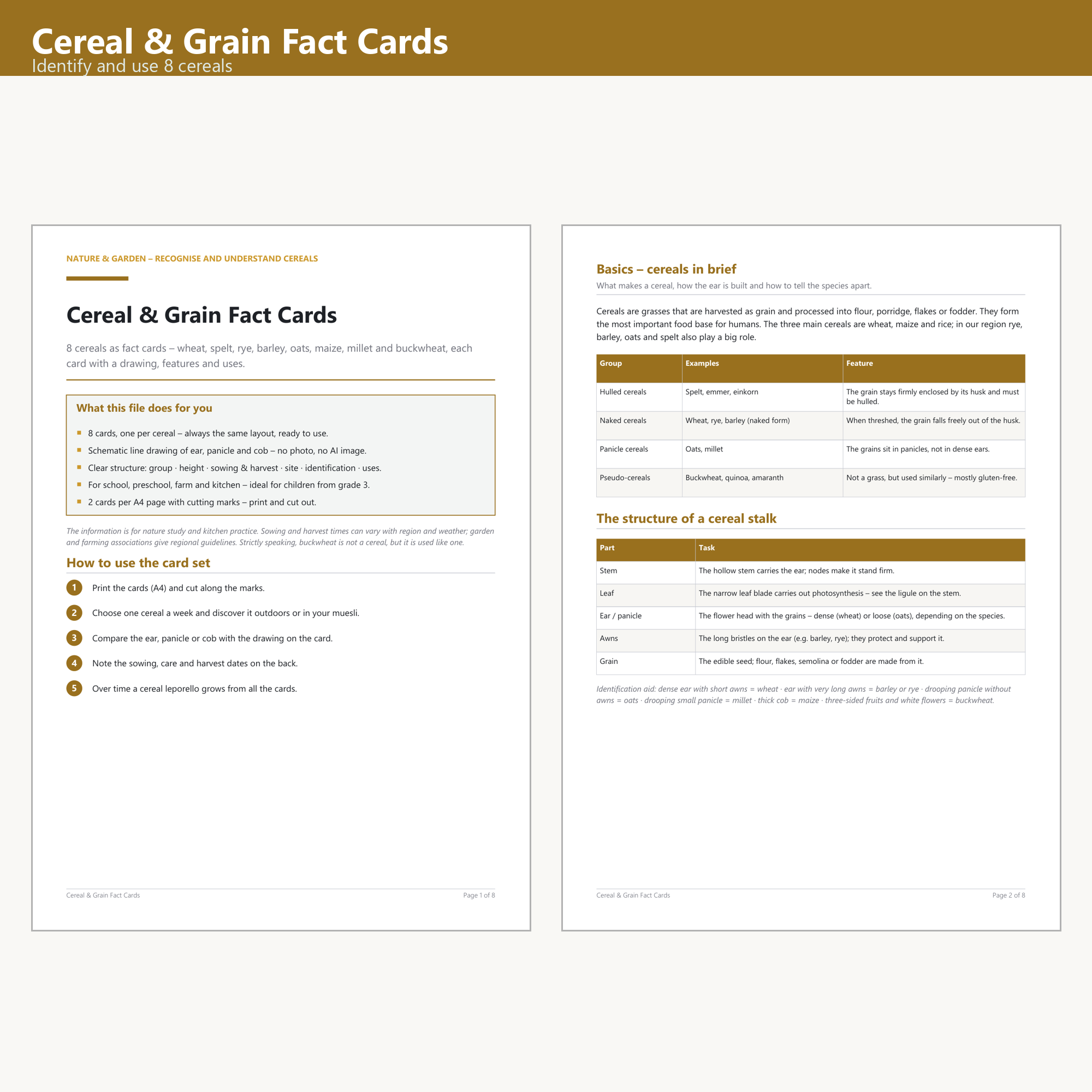 Cereal & Grain Fact Cards (8) – Cover