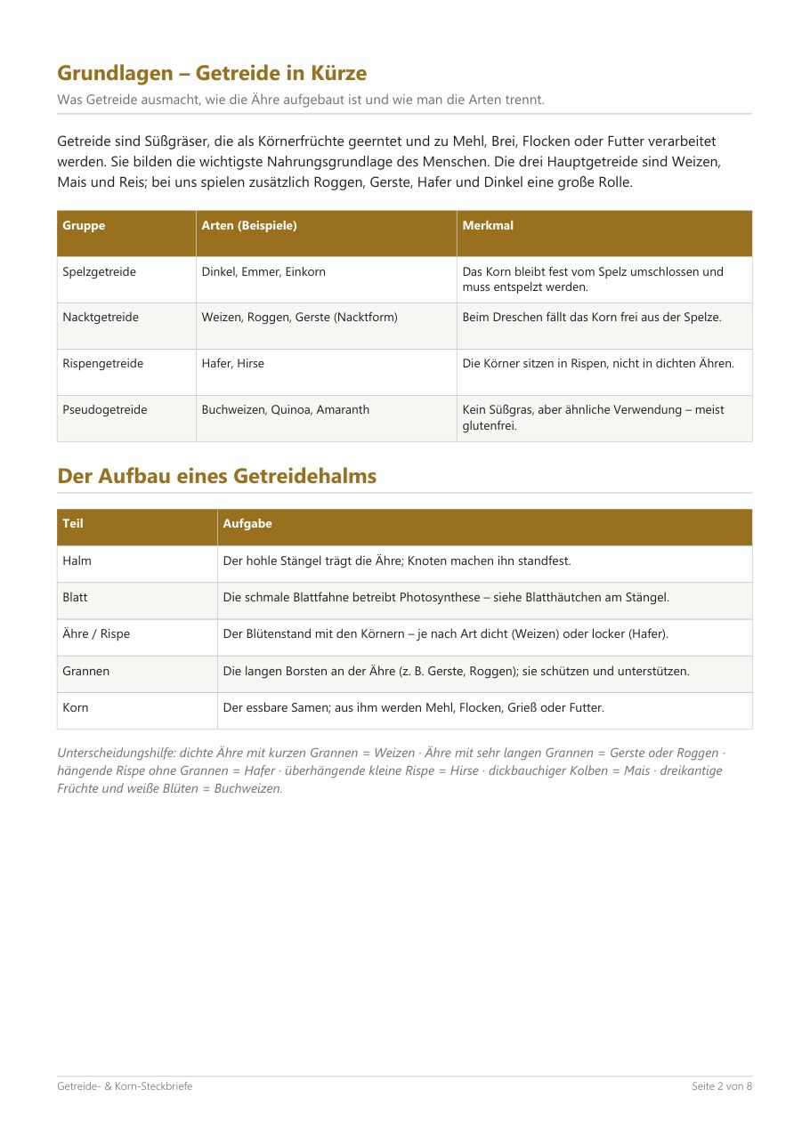 Cereal & Grain Fact Cards (8) – Blick ins Heft, Seite 1