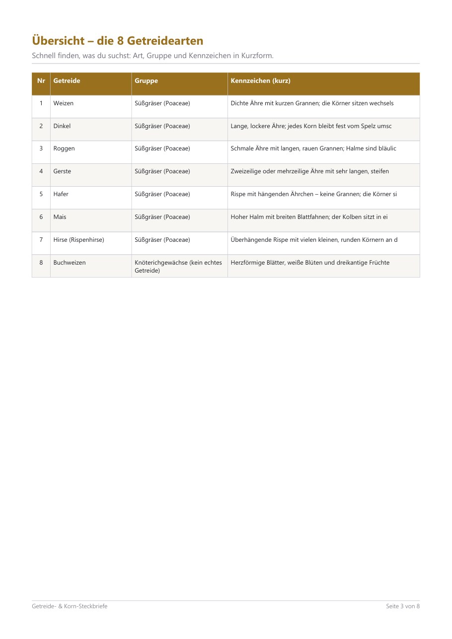 Cereal & Grain Fact Cards (8) – Blick ins Heft, Seite 2