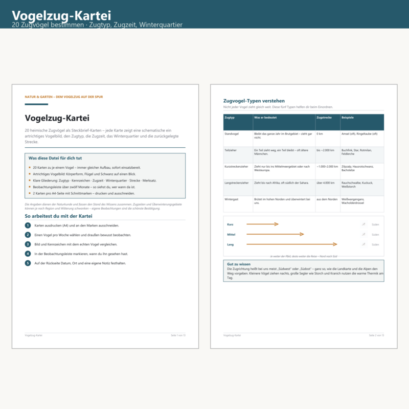 Vogelzug-Kartei