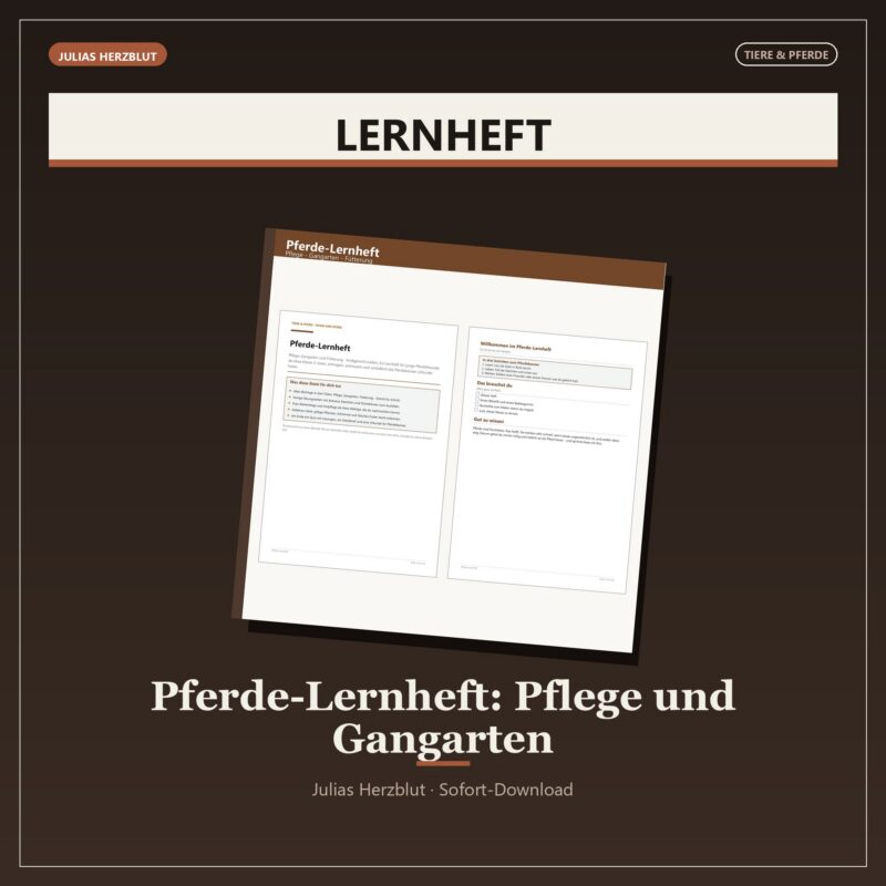 Pferde-Lernheft (Pflege/Gangarten)