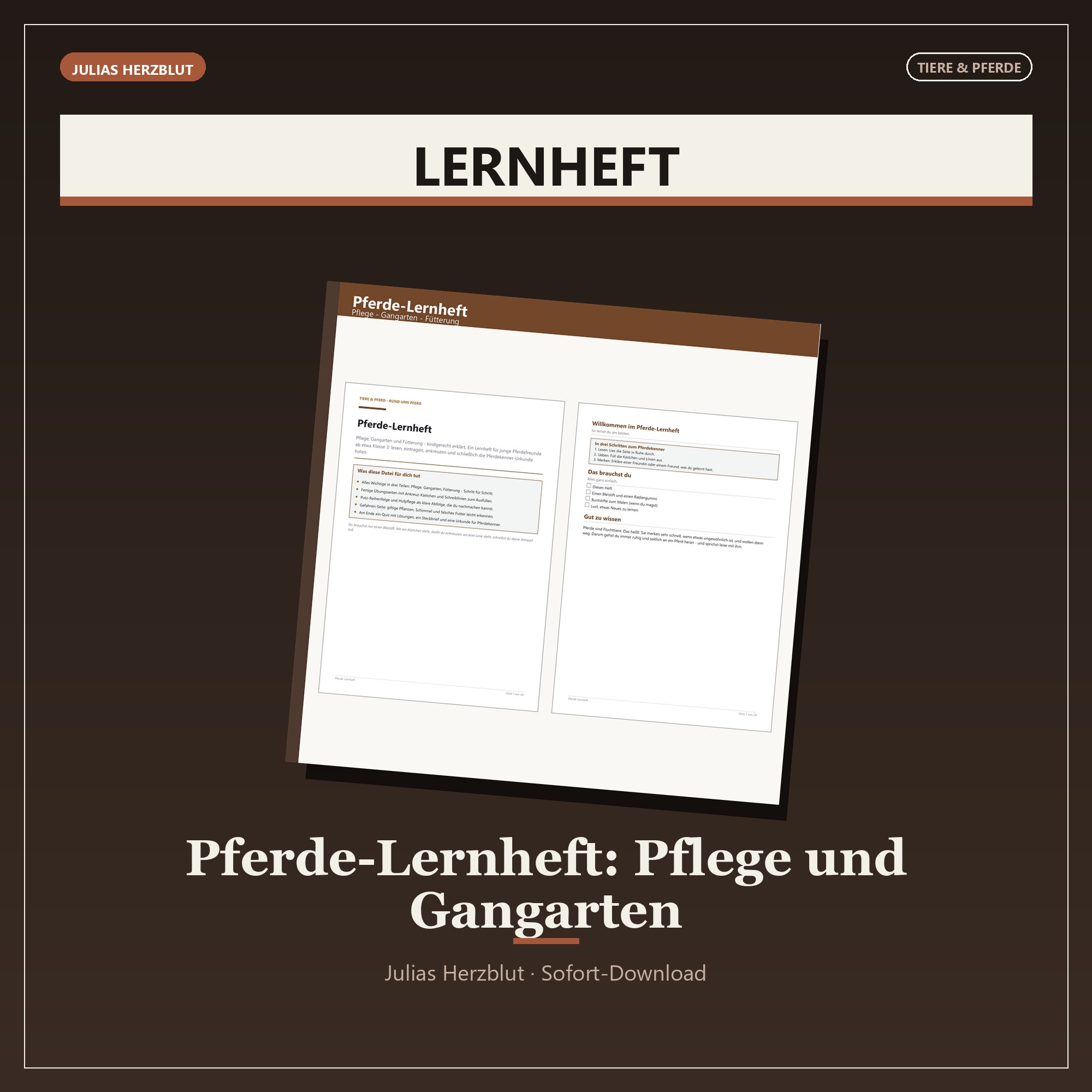 Pferde-Lernheft (Pflege/Gangarten)